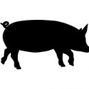 Африканская чума свиней зафиксирована в Белогорье
